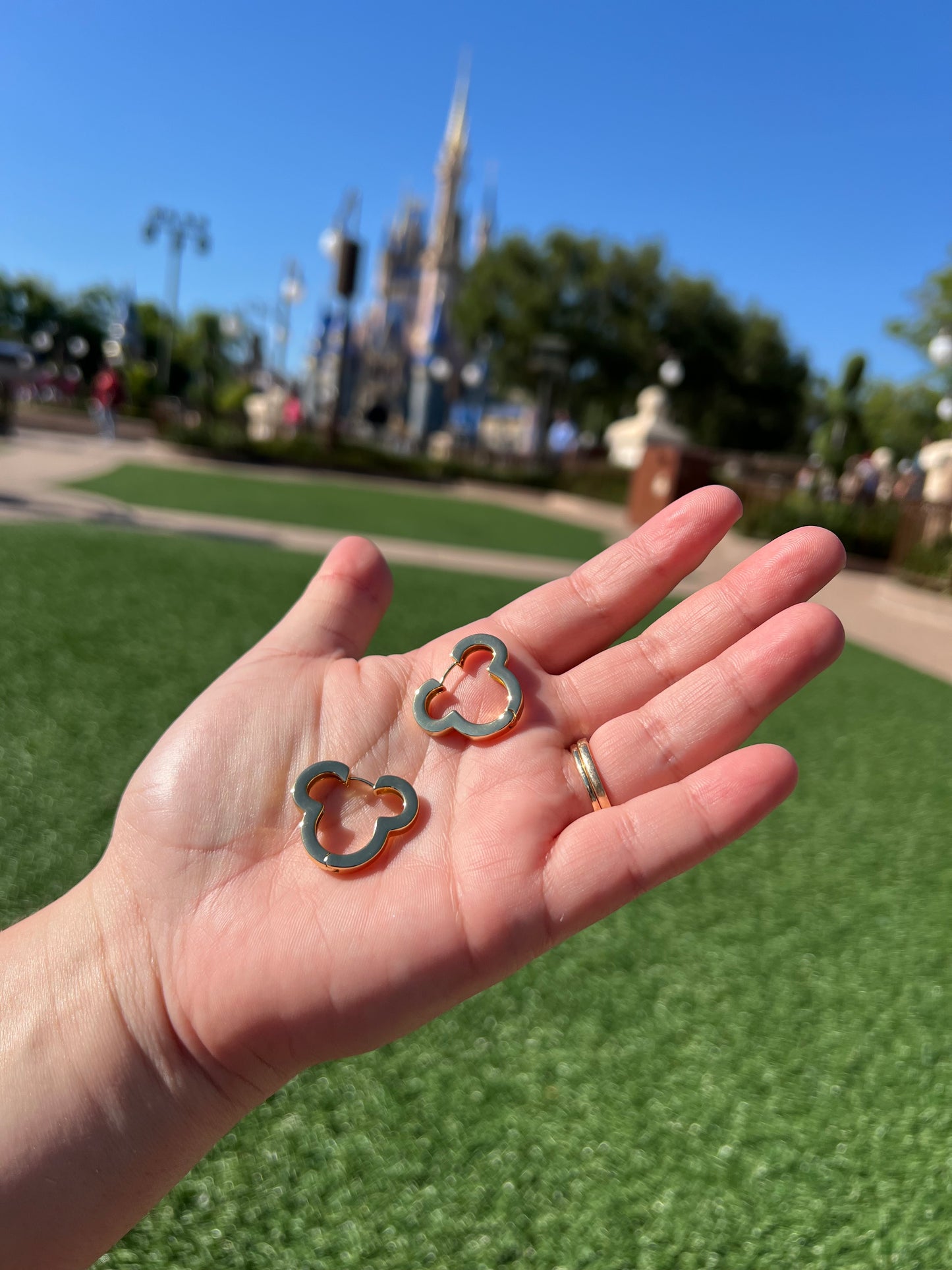 The Ana 'Mouse' Hoops
